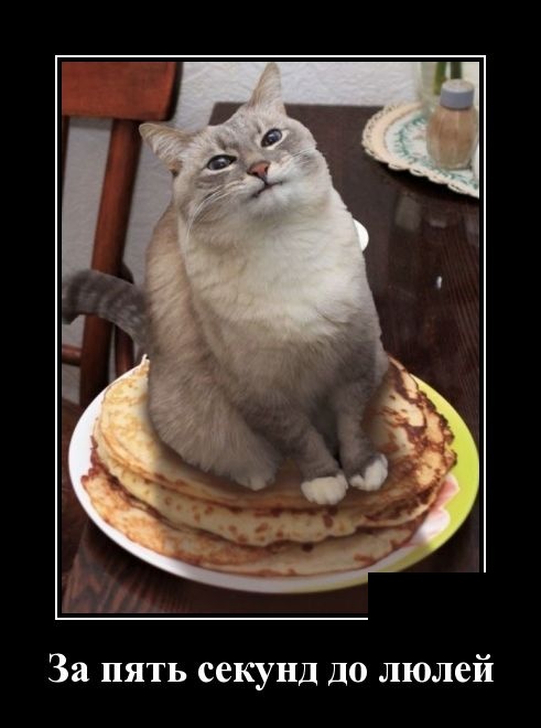 Подборка интересных и веселых картинок №61 Подборка интересных и веселых картинок №61 отдых