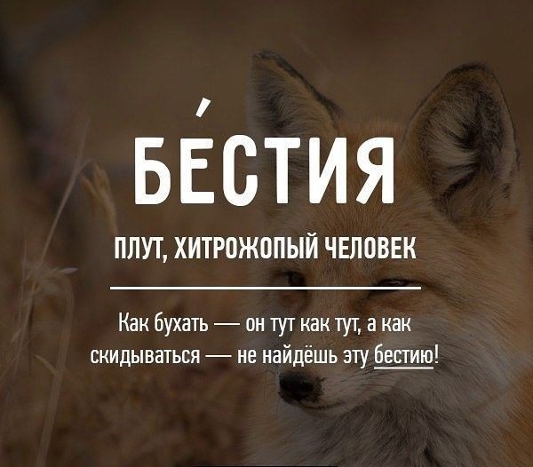 Редкие бранные слова русского языка (20 фото)