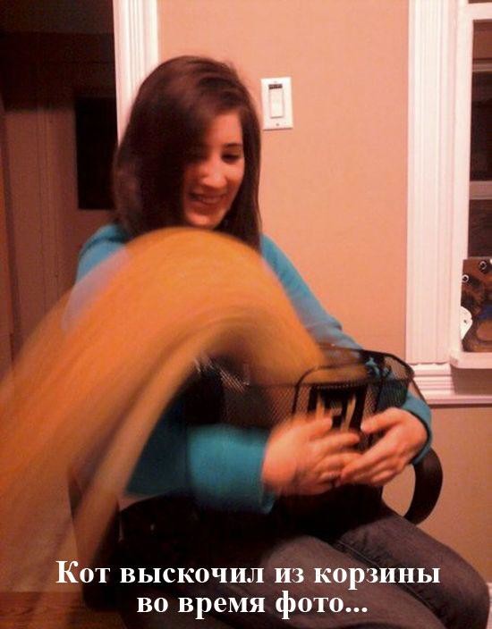 Еноты и не только.. Фото-приколы! Смешные прикольные картинки, фото приколы