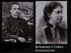 Софья Ковалевская - самый мистический математик России История России,личности,математика,Софья Ковалевская