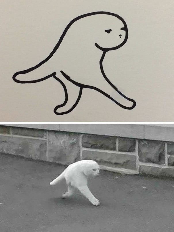 Poorly Drawn Cat