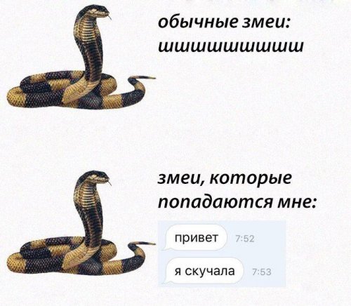 Прикольные картинки дня (50 шт)