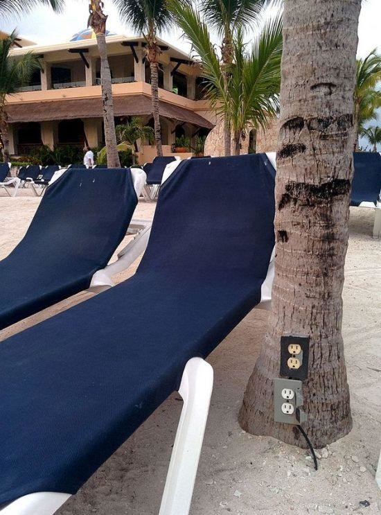 Еноты и не только.. Фото-приколы! Смешные прикольные картинки, фото приколы