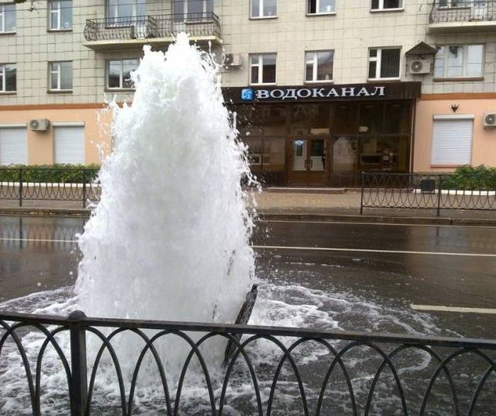 Позитивные и прикольные картинки для хорошего настроения (11 фото)