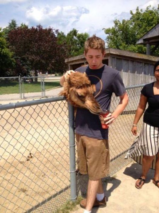 Снимки, сделанные в самый подходящий момент (49 фото)