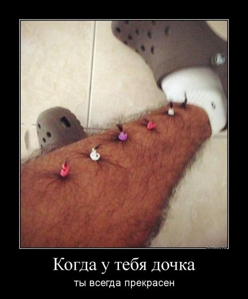 Свежие демотиваторы-приколы (13 шт)