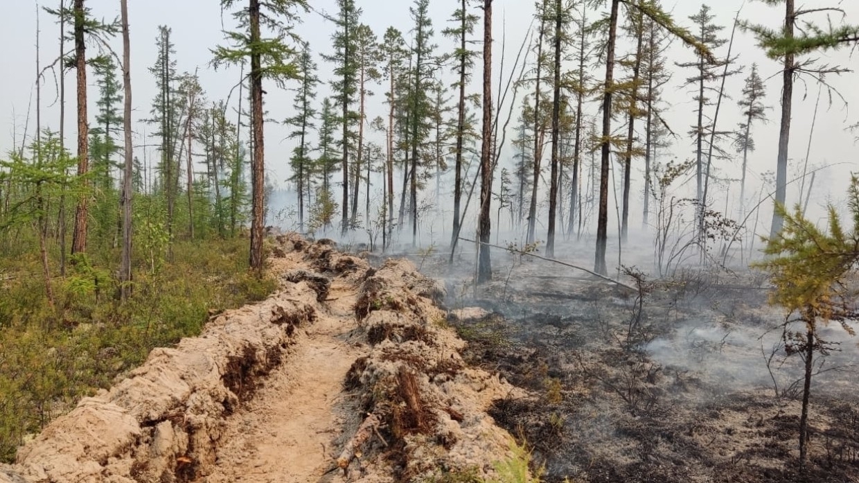 СК начал проверку после гибели мужчины при тушении леса в Якутии Происшествия