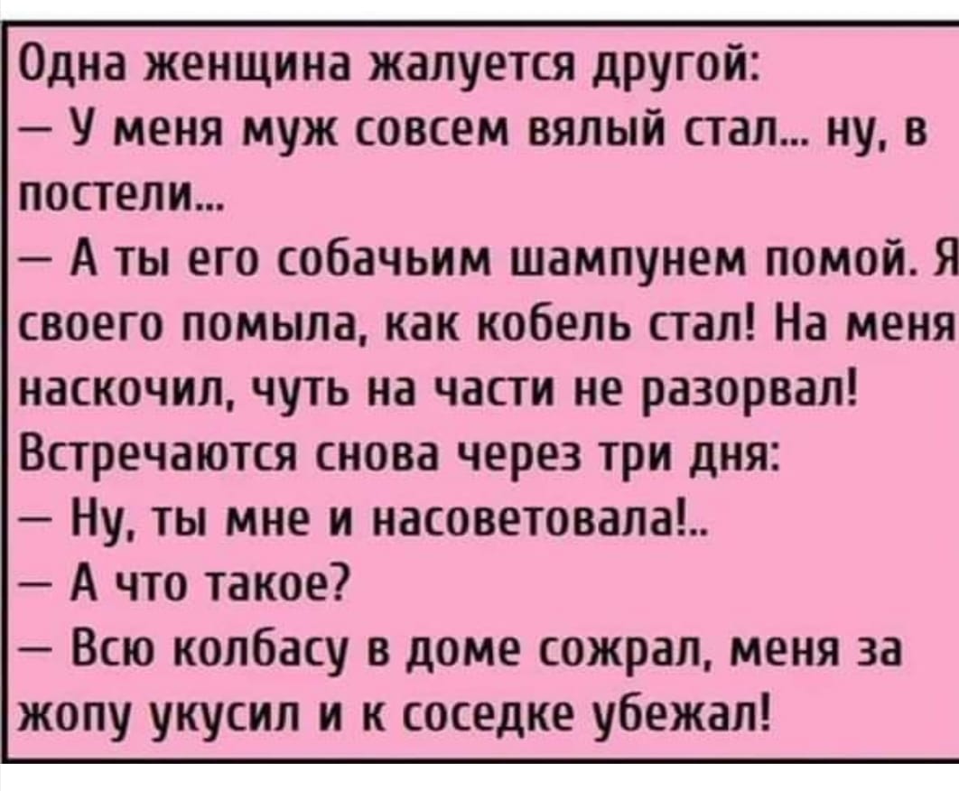 Женщина жалуется мужу. Смешные анекдоты про лесных зверей. У меня муж совсем вялый стал анекдот. Анекдот про собачий шампунь. Только писанины прибавилось анекдот.