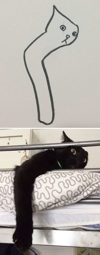 Poorly Drawn Cat