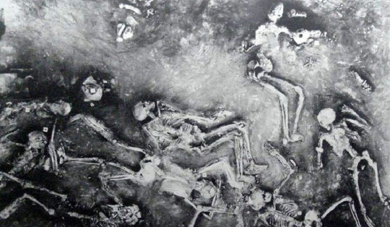 Мохенджо-Даро: Тайна сорока четырех, изображение №5