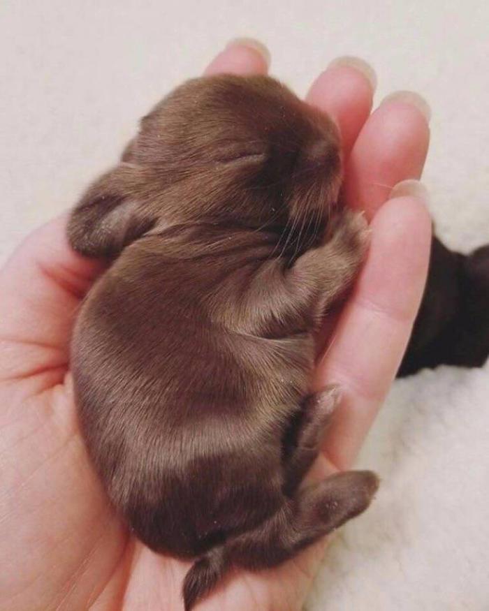 Ржачные картинки и позитивные фото с надписью из сети картинки с надписями,красивые фотографии,приколы,прикольные картинки,угарные фотки,фото приколы,юмор