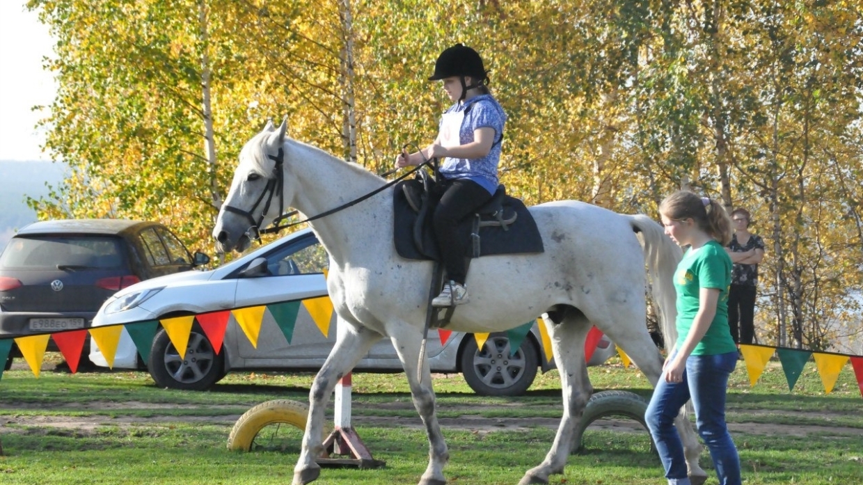 Чудеса происходят ежедневно: в Перми реабилитируют людей через иппотерапию Общество