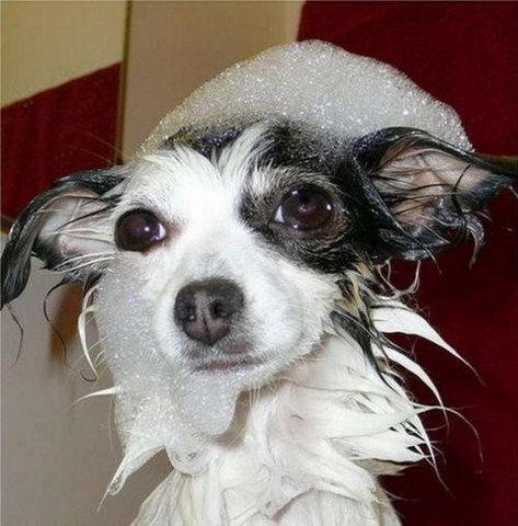 Забавности :) (49 штук)