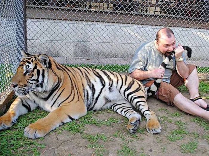 Подборка веселых и забавных фотографий из нашей жизни 