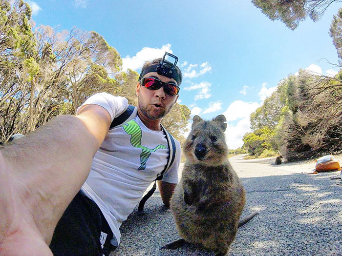 quokka-meets-cyclist-man-australia-1