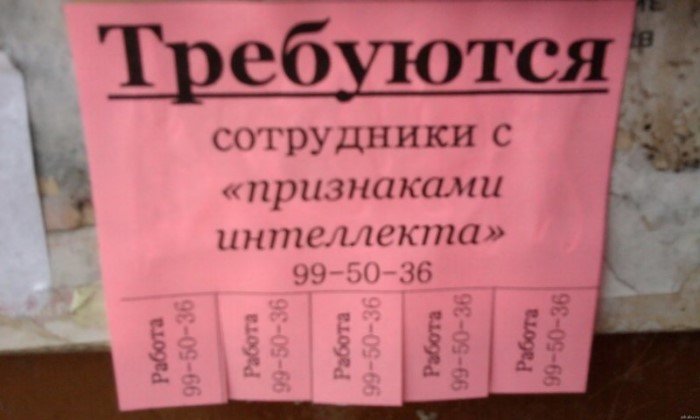 Найти работу просто, говорили они Найти работу просто, говорили они