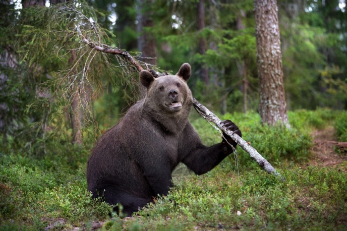 Фотоподборка 