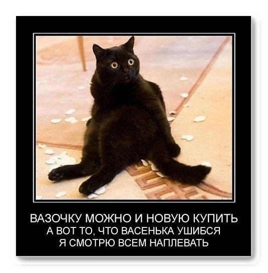 Собрался на рыбалку. Не смог найти сигареты. Взял сигареты сына. Через час поймал трех дельфинов, двух акул и одно лохнесское чудовище веселые картинки