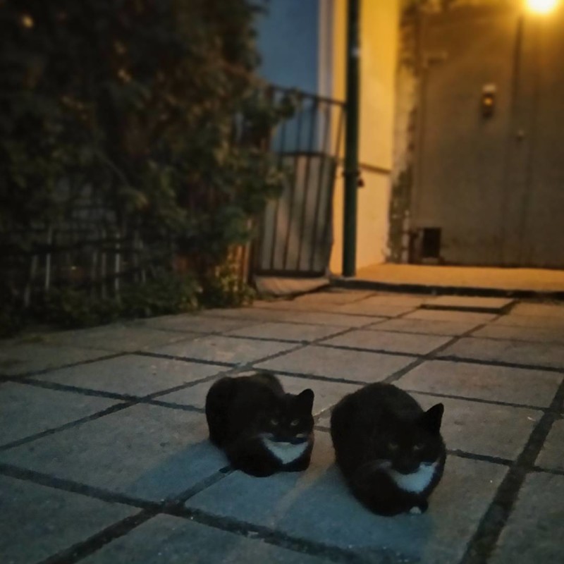 Невероятные совпадения, которые всё же произошли копипаста, прикол, сбой в матрице, совпадение, так не бывает