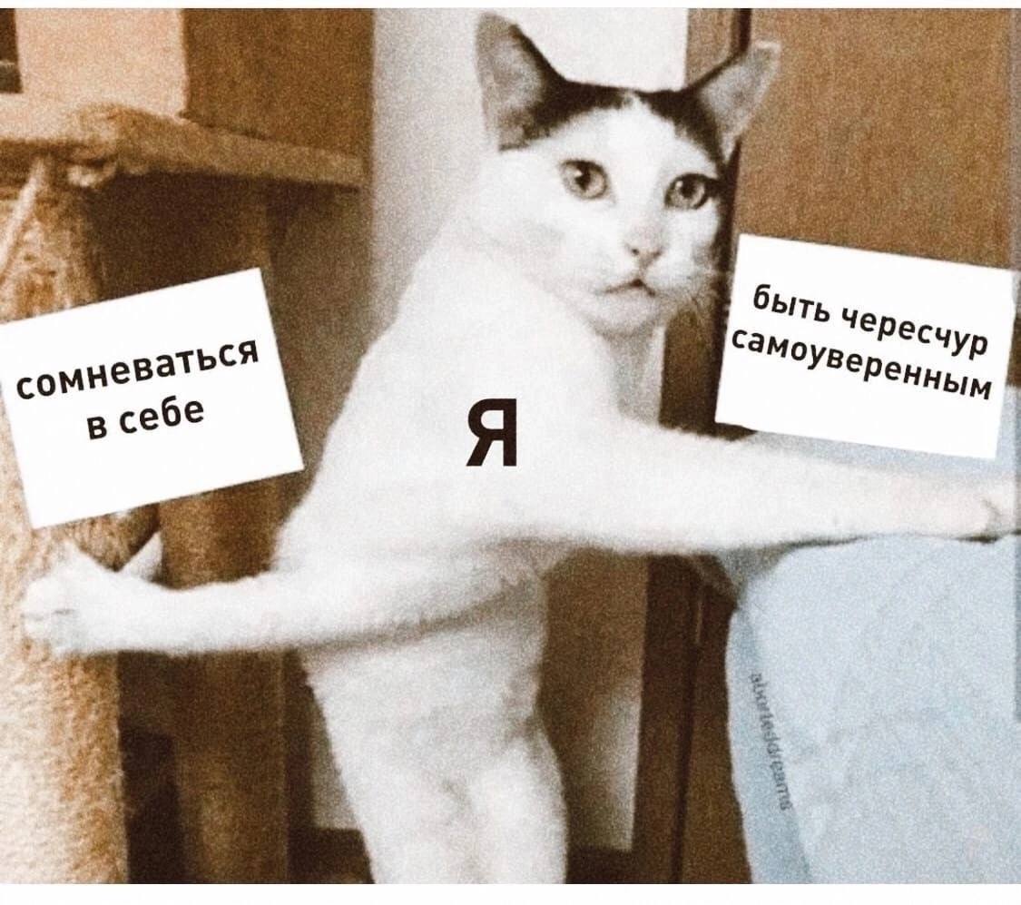 Бодрые, смешные картинки с надписями для хорошего настроения Бодрые, смешные картинки с надписями для хорошего настроения