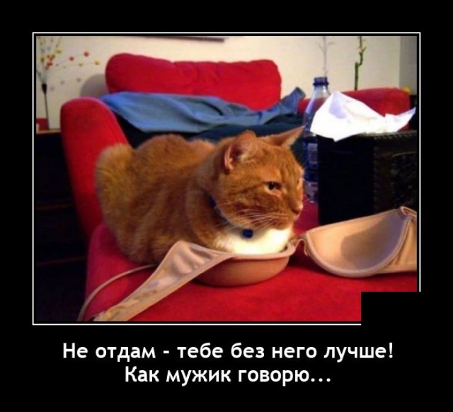 Демотиваторы 17 января 2022 года