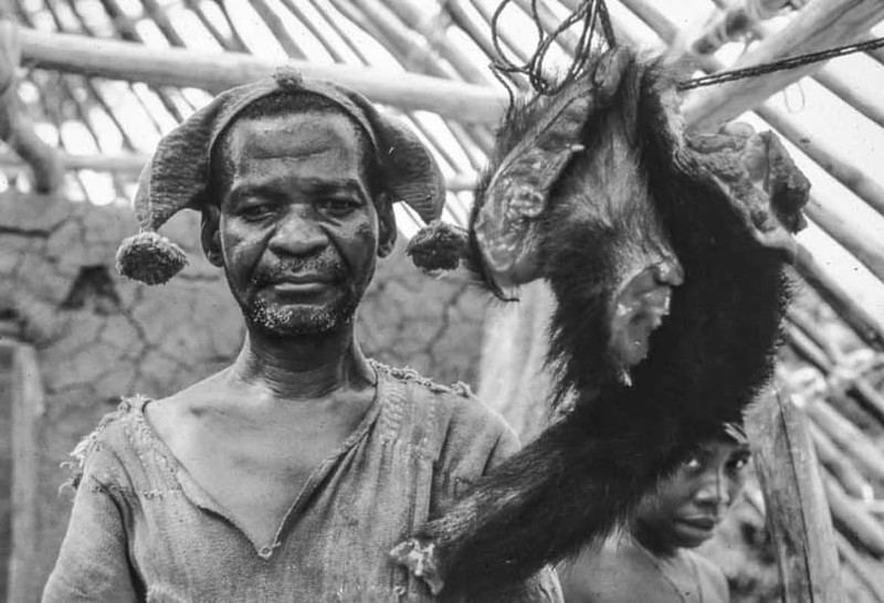 "Мясо из буша" африка, культурные различия, поразительно