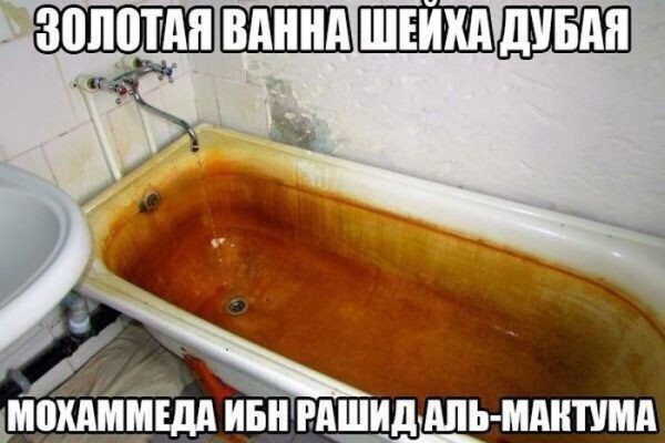 Картинки с надписями мем, прикол, юмор