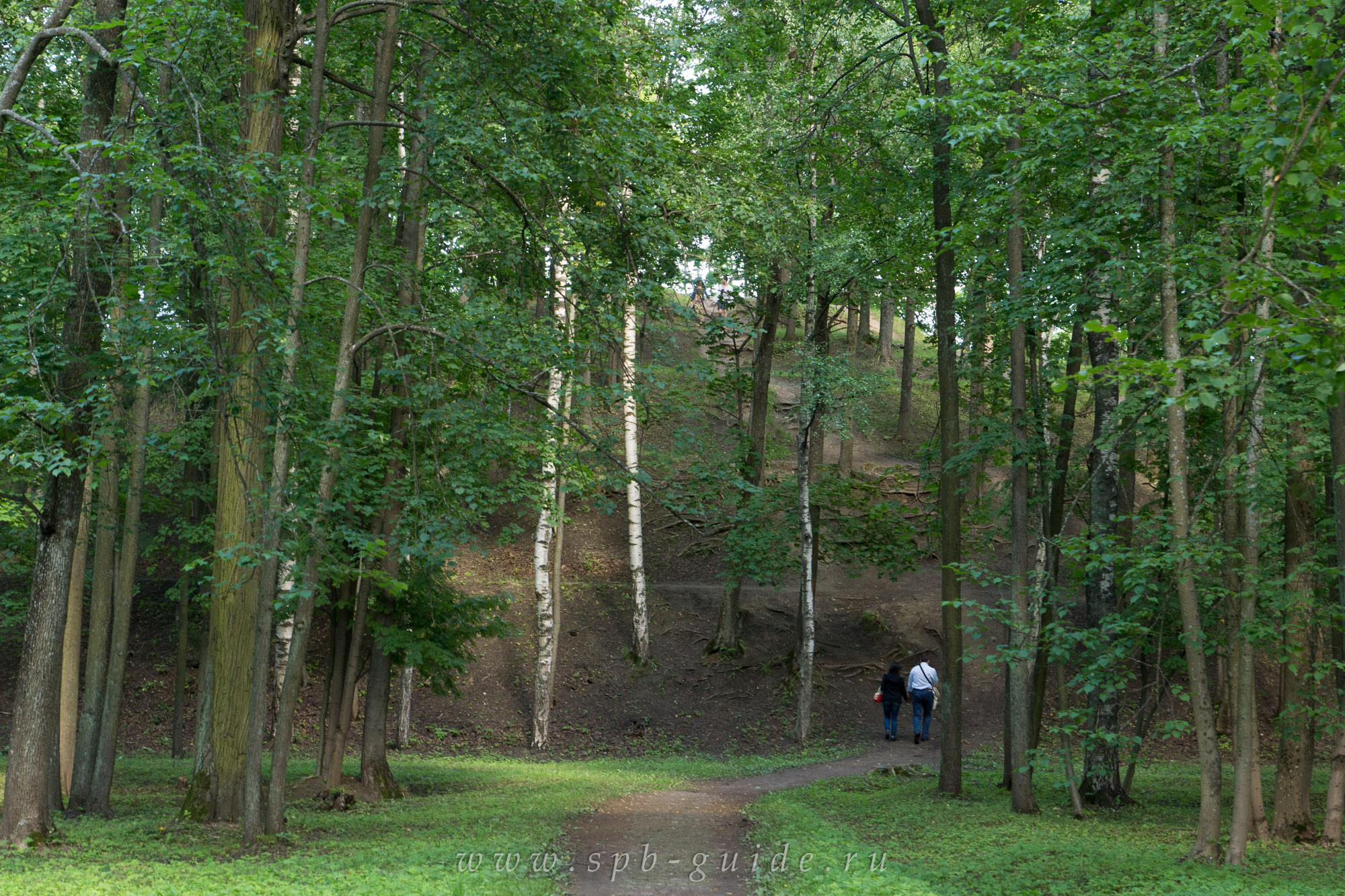 Александровский парк гора парнас. Гора парнас в александровском парке в пушкине. Александровский парк гора парнас. Парнас пушкин. Куртина парнас царское село.