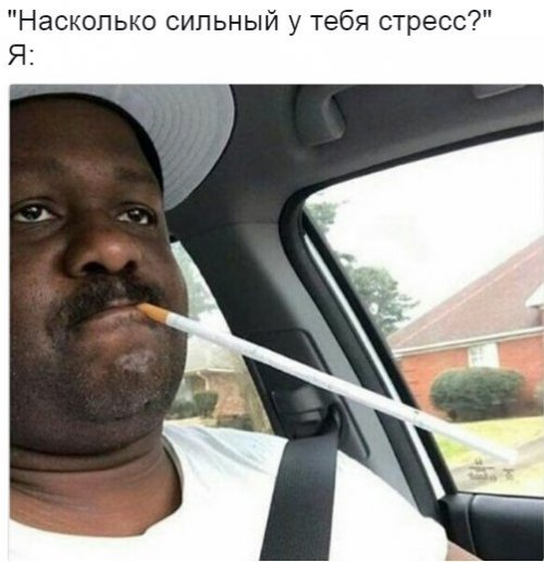 Прикольные фотомемы (23 шт)