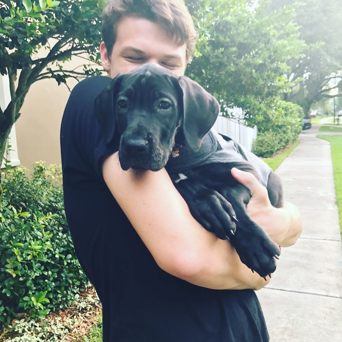 Bringing Home Our Bella! Happiness Is A Warm Puppy