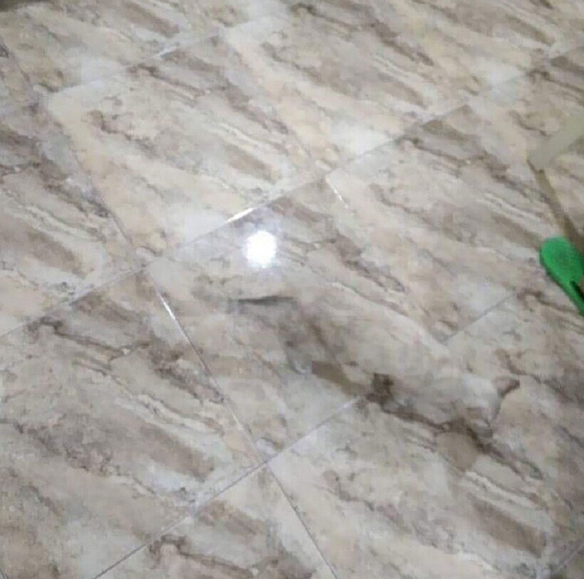 2о снимков с эффектом исчезновения