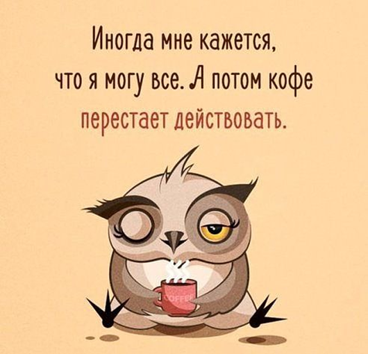 Утро понедельника в животном саду веселые картинки,животные,позитив,Смешные животные