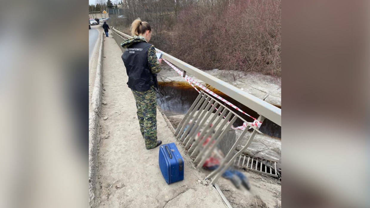 Муж пришел к жене в салон с топором: следователь в Ленобласти о громких преступлениях Общество