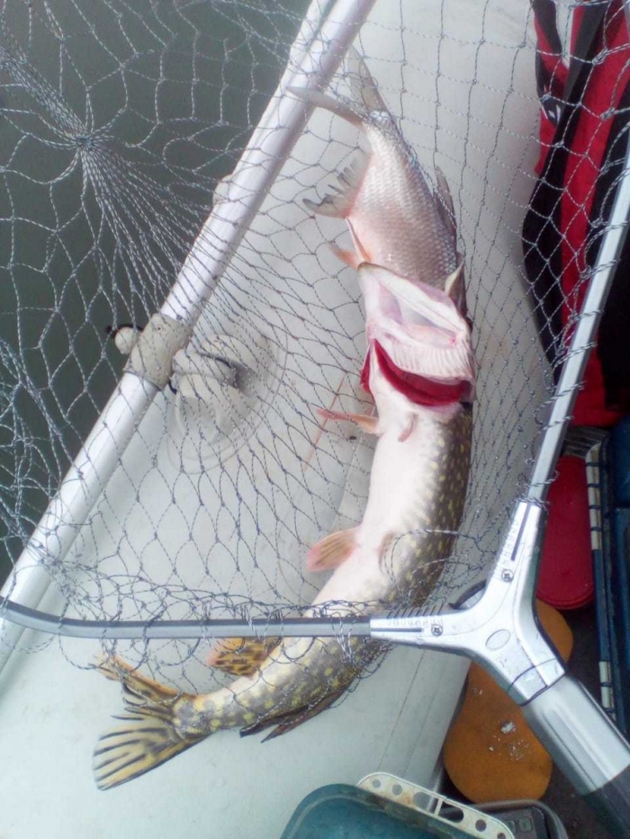 Фотоподборка 