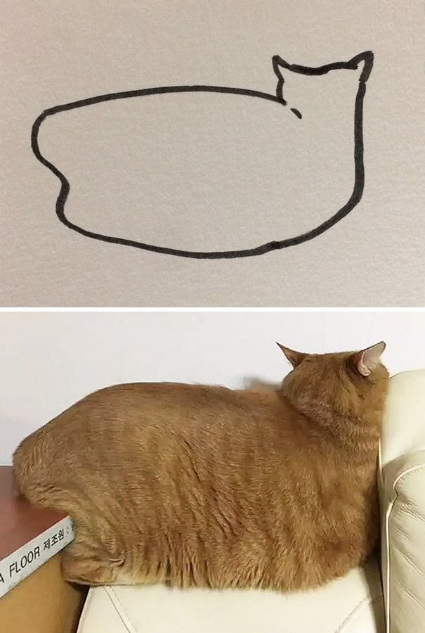 Poorly Drawn Cat