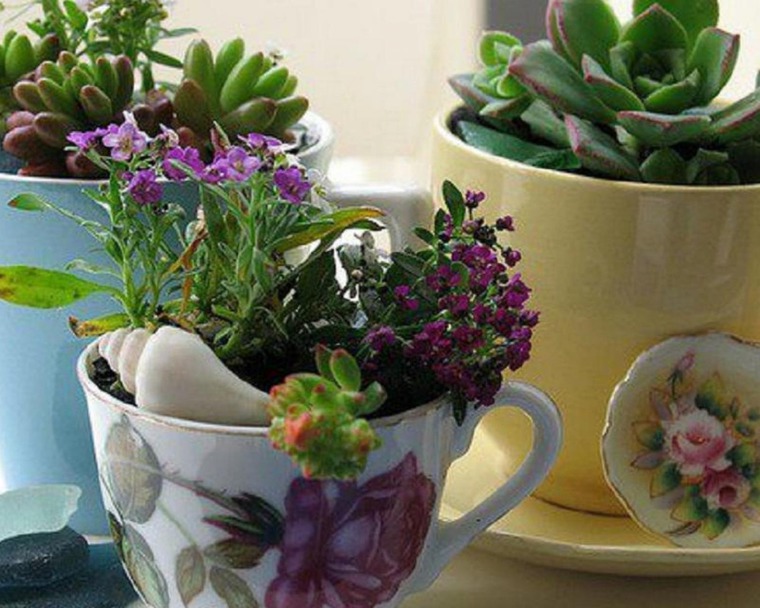 Миниатюрный сад на окошке интерьер,миниатюрный сад,своими руками