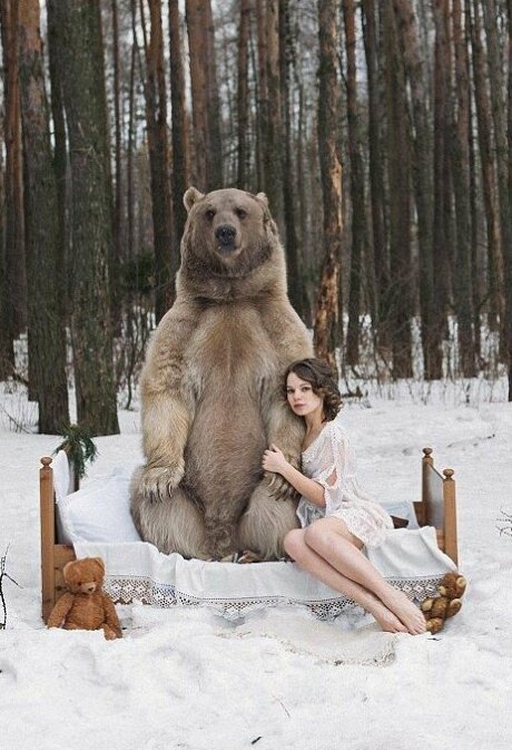 Союз силы и нежности - на это можно смотреть вечно! Союз силы и нежности - на это можно смотреть вечно! фотография