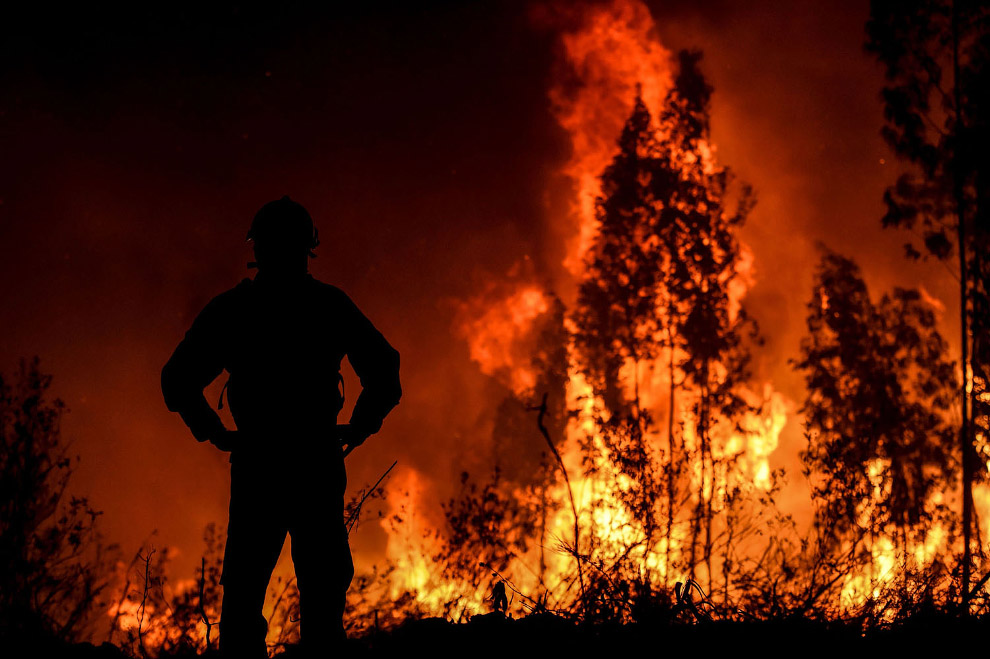 Борьба с лесными пожарами в Португалии