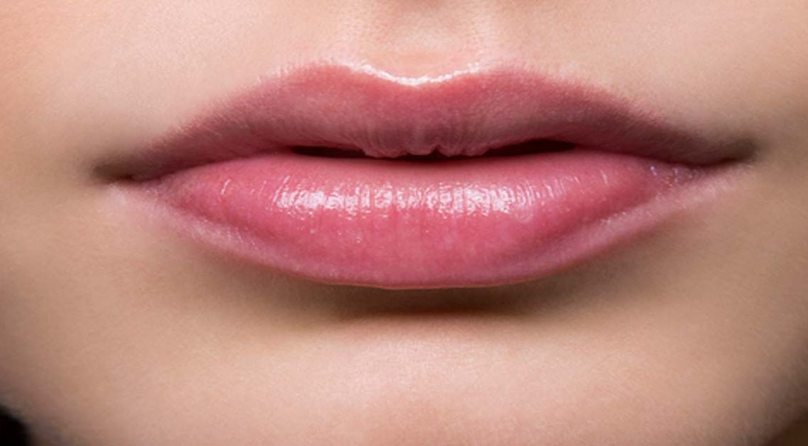 Формы нижней губы. Формы губ. Красивые губы. Красивая форма губ. Аккуратные губы.