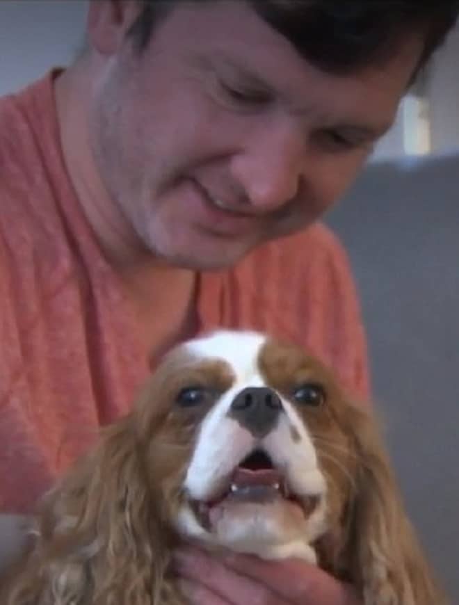 Чудесное возвращение маленького Чарли: как собака после короткой разлуки вновь встретилась с хозяином 