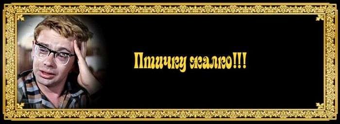 Цитаты из любимых фильмов история, прикол, юмор