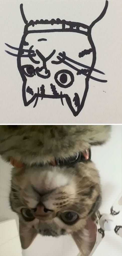 Poorly Drawn Cat