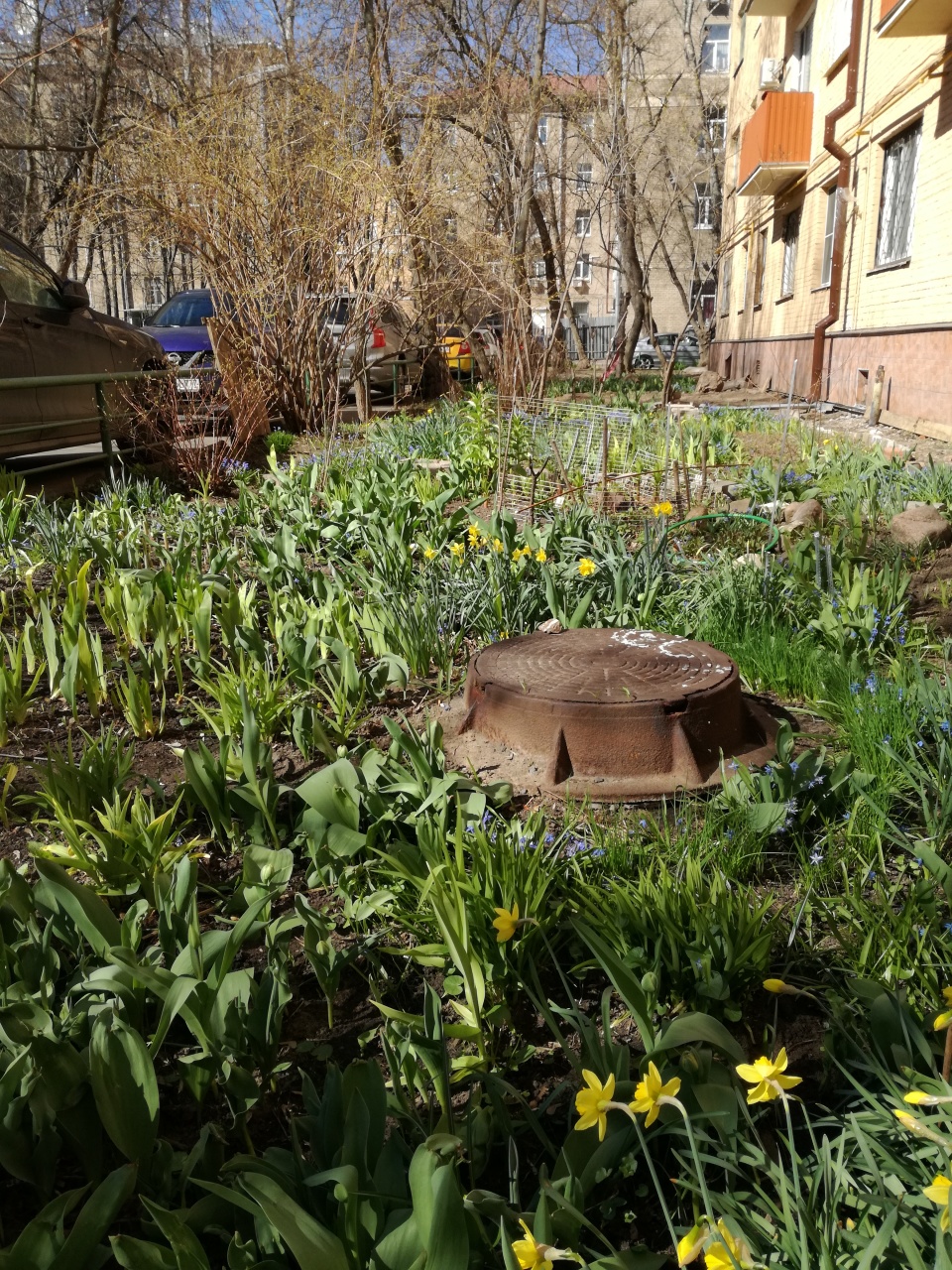 Красота своими руками.