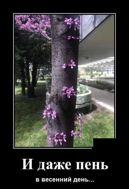 Забавные, смешные и прикольные демотиваторы из сети демотиваторы свежие,смешные демотиваторы