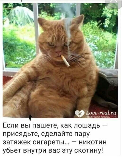 Утро понедельника в животном саду веселые картинки,животные,позитив,Смешные животные