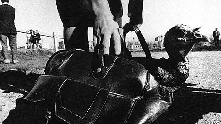 Лучшие работы фотографов советской Литвы Лучшие работы фотографов советской Литвы