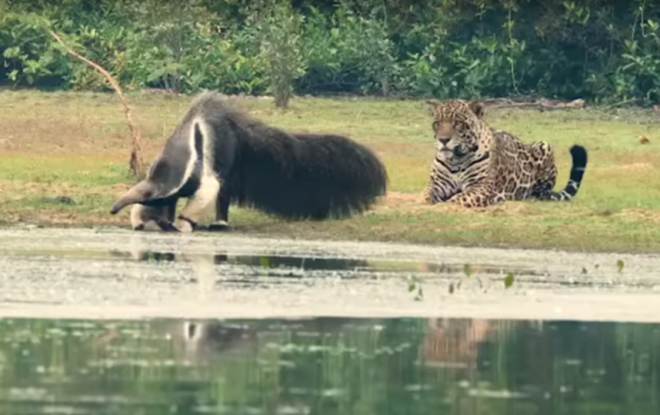 Лучший город в мире