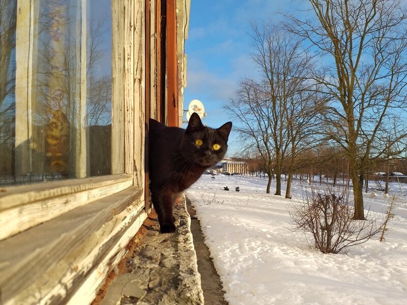 Жена посмотрела на нас тоскливыми глазами и снова взвыла: -Я-а-а-й-ц-а-а. -Что яйца? -Оторва-а-а-ались... Жена посмотрела на нас тоскливыми глазами и снова взвыла: -Я-а-а-й-ц-а-а. -Что яйца? -Оторва-а-а-ались... истории из жизни