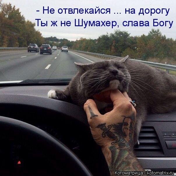 Прикольное фото демотеваторы, приколы, фото