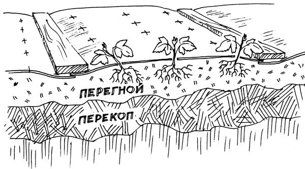 Хотите ходить - кладите широкую доску